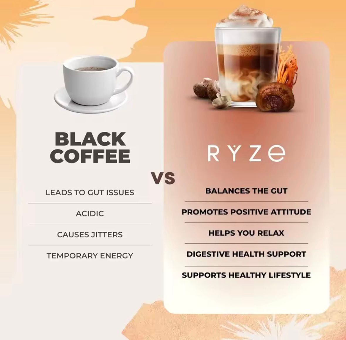 Organic Mushroom Coffee