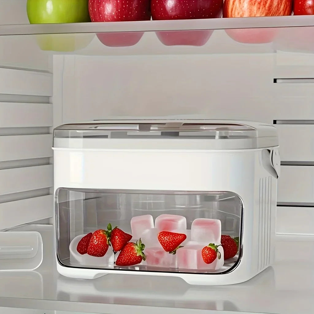 Double Ice Tray