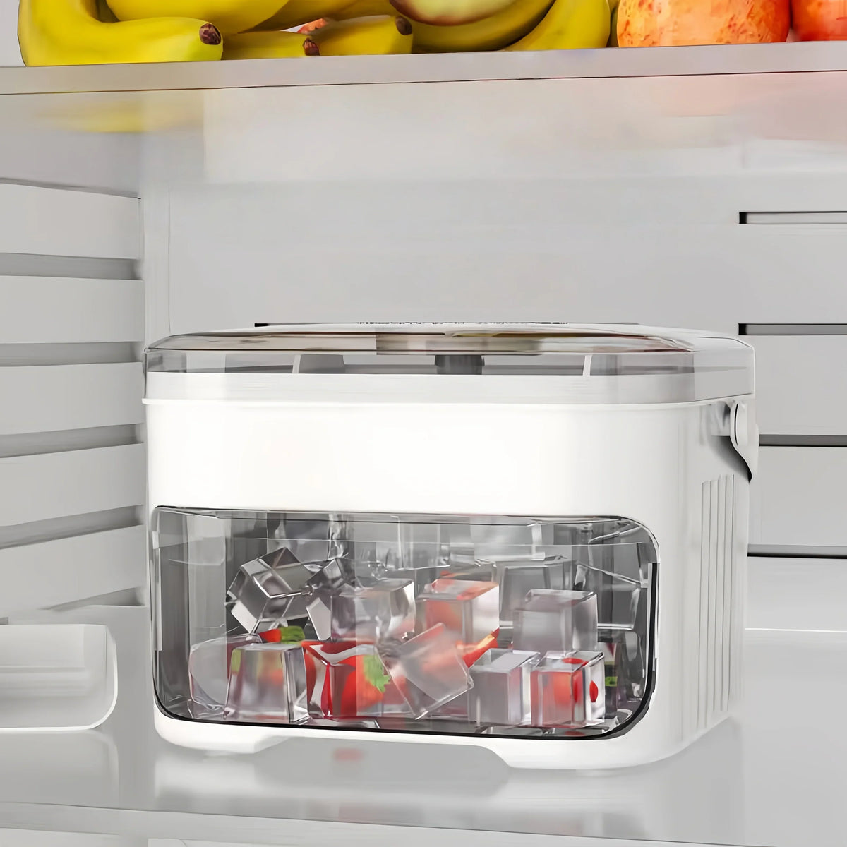 Double Ice Tray