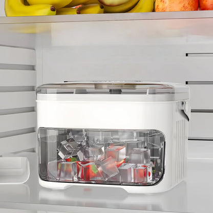 Double Ice Tray